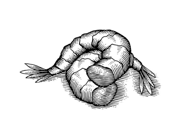 Shrimp woodcut